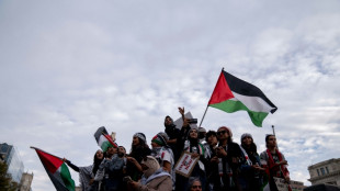 Manifesta&ccedil;&otilde;es em v&aacute;rios continentes pedem fim de bombardeios israelenses em Gaza