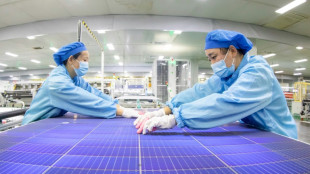 Firmas chinas de paneles solares, investigadas por la UE, se retiran de una licitaci&oacute;n