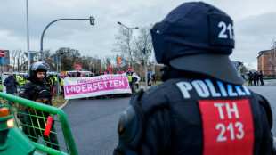 Angriff auf Youtuber und Polizisten bei AfD-Bundesparteitag: Anklage erhoben