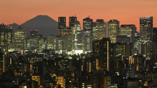 Jap&oacute;n introduce un sistema de reservas en l&iacute;nea para visitar el monte Fuji