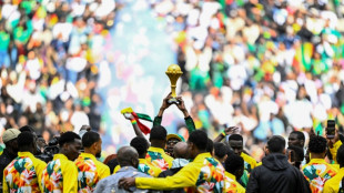 Apesar de san&ccedil;&atilde;o, Senegal exibe trof&eacute;u da Copa Africana em amistoso contra o Peru, em Paris