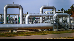 Il prezzo del gas apre in lieve calo a 32,50 euro