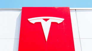 Tesla car sales lifted by end of US electric auto tax credit
