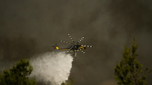 Gr&egrave;ce: des bombardiers d'eau d&eacute;collent contre les incendies pr&egrave;s d'Ath&egrave;nes