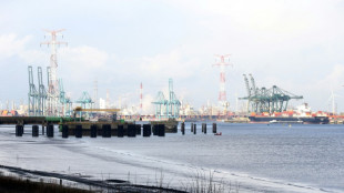 Ataque cibern&eacute;tico contra tres terminales petroleras europeas