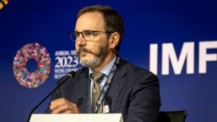 La econom&iacute;a mundial permanece s&oacute;lida pese a desigualdades regionales, seg&uacute;n el economista jefe del FMI