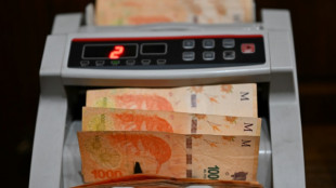 Argentina lanza canje de bonos de empresas p&uacute;blicas ante escasez de divisas