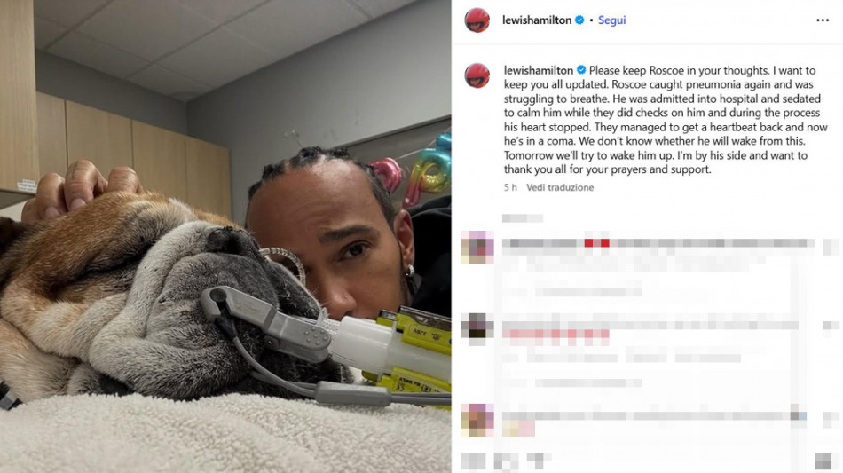 F1: addio Hamilton al cane, "Addormentarlo decisione più dura"