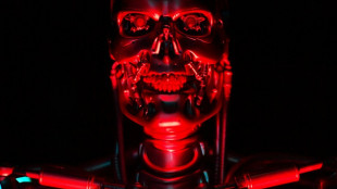 &iquest;La Inteligencia Artificial podr&iacute;a acabar con la humanidad?