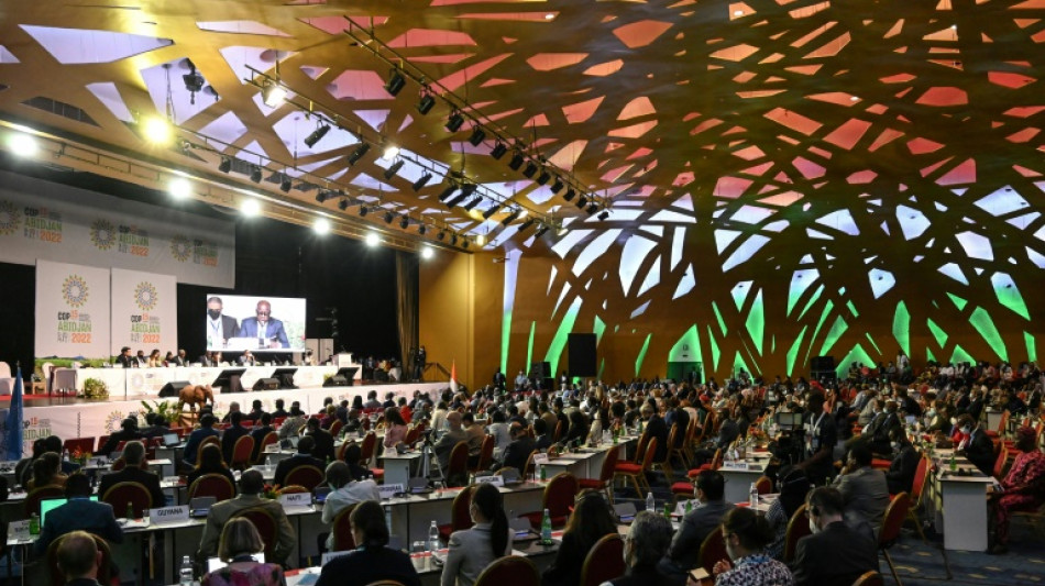 La COP15 se compromete a restaurar mil millones de hect&aacute;reas degradadas