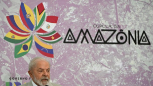 Con balance alentador en Amazon&iacute;a, Lula pedir&aacute; a pa&iacute;ses ricos m&aacute;s de su parte en COP28 