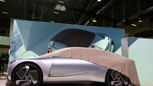 Tesla y las marcas chinas se imponen en el arranque del sal&oacute;n del autom&oacute;vil de Alemania