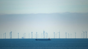 Branche warnt: 2030-Ziel bei Offshore-Windenergie wird verfehlt