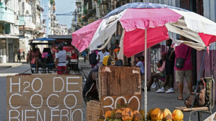 Empresarios cubanos de Miami quieren invertir en la isla, pero no ven las condiciones