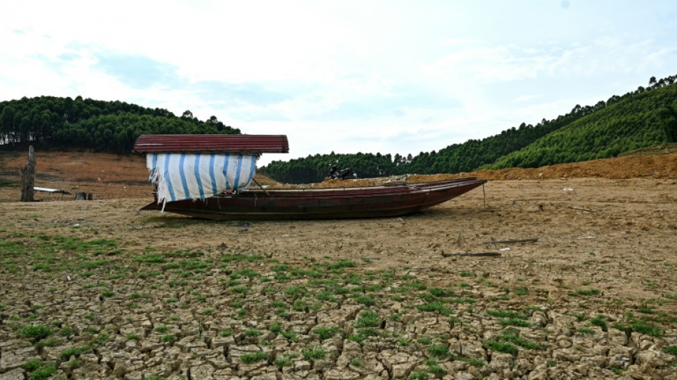'There is nothing for me': Vietnam drought dries up income