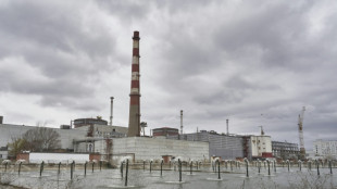 La central nuclear ucraniana de Zaporiyia vuelve a conectarse a la red el&eacute;ctrica