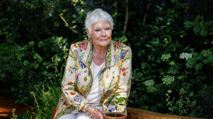 Judi Dench, a causa della macula &egrave; praticamente cieca