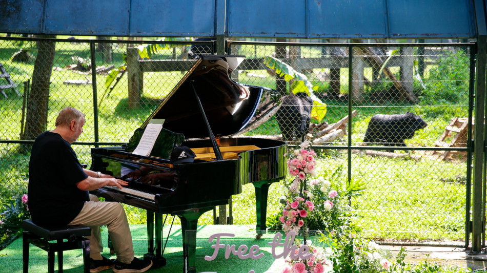 Il pianista Rick Wakeman suona nel bosco di Tam Dao in Vietnam per gli orsi salvati