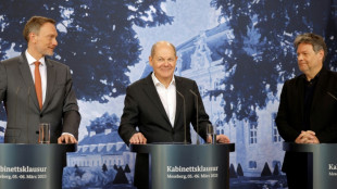 El canciller alem&aacute;n intenta calmar las tensiones con sus socios de gobierno