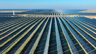 CO2-Emissionen in China im ersten Quartal wegen Erneuerbaren gesunken