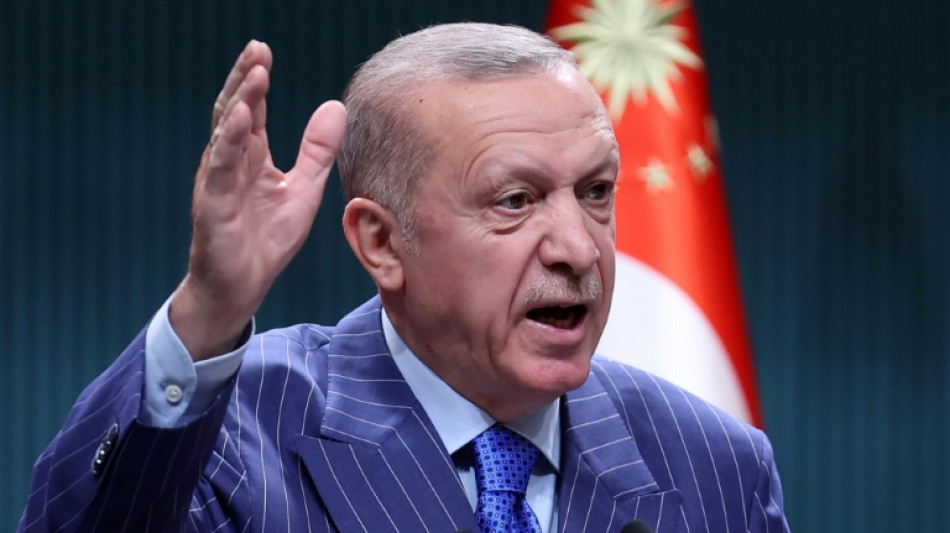 Nato-Mitglied T&uuml;rkei gegen B&uuml;ndnisbeitritt von Schweden und Finnland