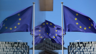 Bozza Ue competitivit&agrave;, 'piano su costi accessibili energia'