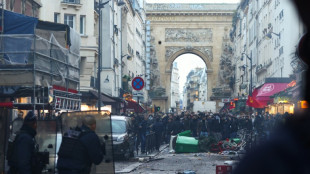 Enfrentamientos entre manifestantes kurdos y polic&iacute;as tras tiroteo en Par&iacute;s 