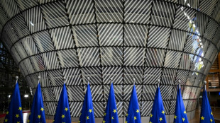 EU-Umweltminister verhandeln über Zusagen für UN-Klimakonferenz