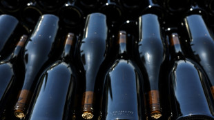 Millones de euros para convertir el exceso de vino franc&eacute;s en alcohol y perfumes