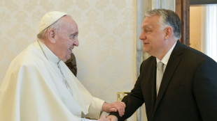 El l&iacute;der h&uacute;ngaro Orb&aacute;n y el papa, dos visiones divergentes de la cristiandad
