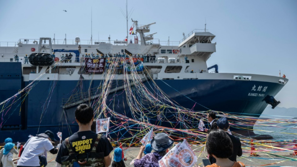 Un nuevo ballenero zarpa de Jap&oacute;n, pese a la controversia en torno al consumo de esta carne