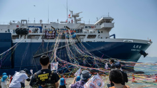 Un nuevo ballenero zarpa de Jap&oacute;n, pese a la controversia en torno al consumo de esta carne