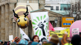 "Wir haben es satt": Erneut Gro&szlig;demonstration zur Gr&uuml;nen Woche in Berlin
