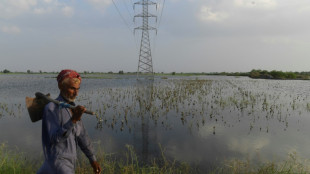 Inondations au Pakistan: les agriculteurs "revenus 50 ans en arri&egrave;re"