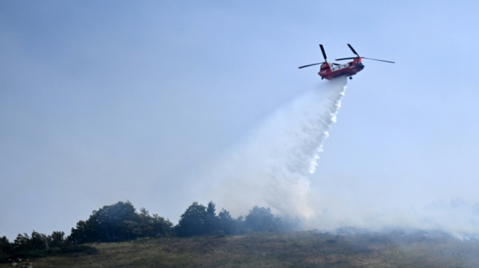 Pyr&eacute;n&eacute;es-Atlantiques: 125 ha de "surface br&ucirc;l&eacute;e" en vall&eacute;e d'Aspe, feu "plut&ocirc;t stable"