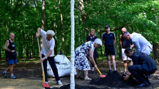Gedenkort nach CSD-Anschlag: Baum in Berliner Tiergarten herausgerissen