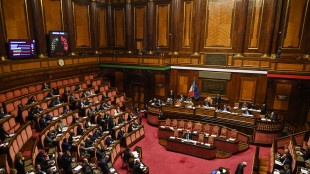 Il Senato approva il decreto Lavoro per il Pnrr, &egrave; legge