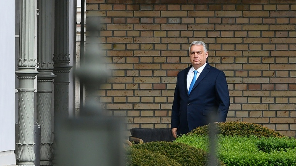 Hungary's Orban urges party 'renewal' after vote loss