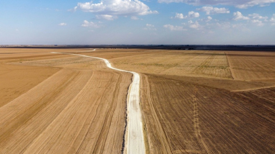 Copernicus: Vergangener Monat war zweitw&auml;rmster Mai seit Beginn der Messungen