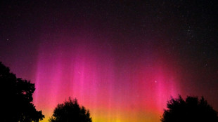 Starke Sonnenstürme treffen Erde: Weltraumzentrum warnt vor Störungen