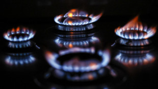 Gas: future risalgono a 77,3 euro