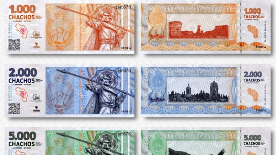 Provincia argentina pone en circulaci&oacute;n "cuasimoneda" propia alternativa al peso