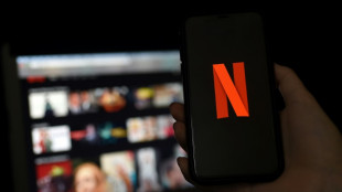 Netflix, Gafam et IA g&eacute;n&eacute;rative au c&oelig;ur du bilan de l'internet fran&ccedil;ais
