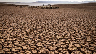 Rich nation 'gestures' on climate damage only a start: observers