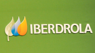 El fondo soberano noruego invertir&aacute; en proyectos de energ&iacute;a renovable de Iberdrola