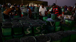 El empleo en Brasil resiste nuevamente a los aranceles de EEUU