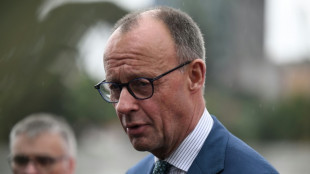 Merz will Steuererleichterungen für Unternehmen noch vor Sommerpause