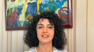 La Nobel de la Paz iran&iacute; Narges Mohammadi, liberada bajo fianza para recibir tratamiento m&eacute;dico