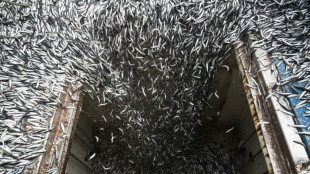 El Ni&ntilde;o hunde en la crisis a la industria pesquera peruana
