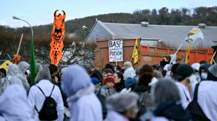 Pollution: des manifestants bloquent une usine BASF pr&egrave;s de Rouen